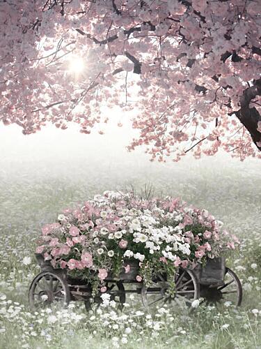 Morning Blossoms Art Print