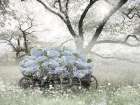 Misty Morning Flower Wagon Art Print