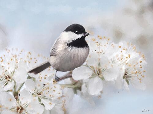 Chickadees Perch I Art Print