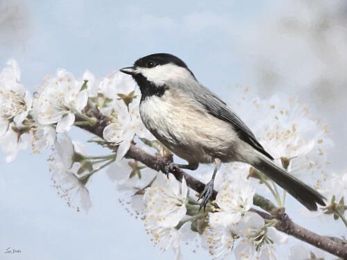 Chickadees Perch II Art Print