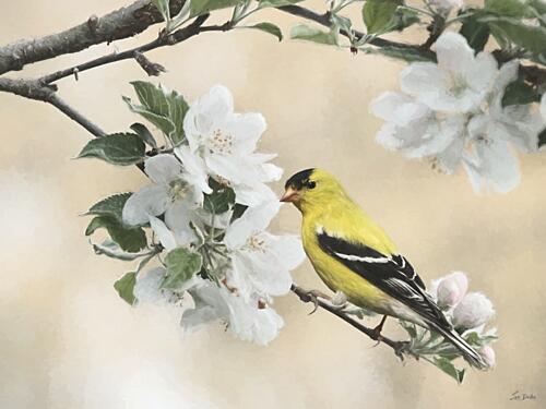 Sunshine Branch II Art Print