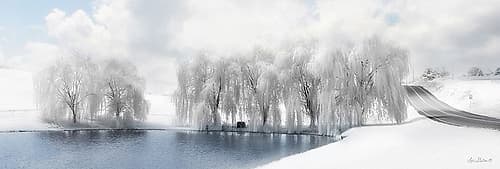 Winter Willow Landscape Print