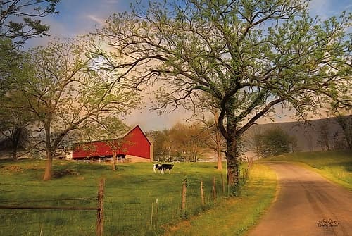 Country Sunrise Art Print