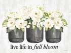 Full Bloom Flower Trio Art Print