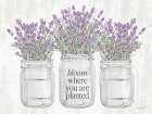 Bloom Where You Are Planted Art Print