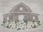 Flower Barn Art Print