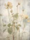 Flowers in the Breeze I Art Print