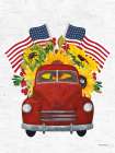 Sunflowers and Flags Art Print