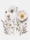 Pressed Flowers I Art Print