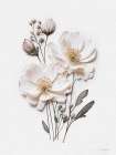 Pressed Flowers IV Art Print