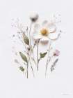 Pressed Flowers V Art Print