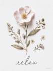 Relax Pressed Flowers Art Print
