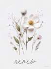 Renew Pressed Flowers Art Print