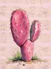 Cactus Charm IV Art Print