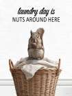 Laundry Day Squirrel Art Print