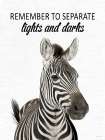 Separate Lights and Darks Zebra Art Print