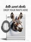 Drop Your Pants Here Donkey Art Print