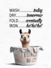 Laundry Schedule Llama Art Print