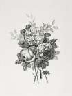 Floral Etching I Art Print