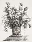 Floral Etching III Art Print