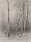 Tree Line Sketch Art Print