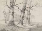Trees in Winter I Art Print