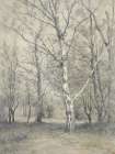 Trees in Winter II Art Print
