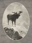High Atop a Mountain I Art Print