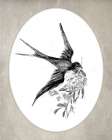 In Flight II Art Print