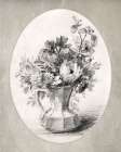 Vintage Floral Sketch Art Print