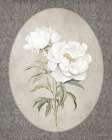 Simple Beauty Art Print