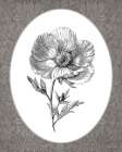 Vintage Botanical I Art Deco Print