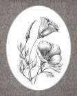 Vintage Botanical V Art Deco Print
