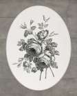 Vintage Blooms II Art Print