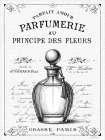 Parfumerie Art Print