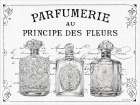 Principe des Fleurs Art Print