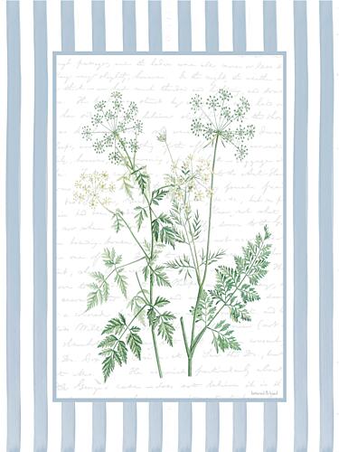 Lace Petals I Art Print