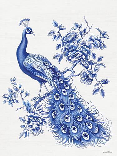 Toile Peacock Art Print
