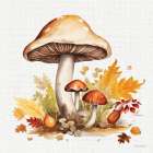 Fall Mushrooms 2 Art Print