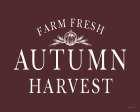 Autumn Harvest Art Print