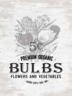 Bulbs Art Print