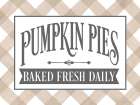 Pumpkin Pies Art Print