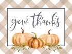Give Thanks Art Print