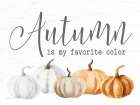 Autumn Is My Favorite Color Art Print