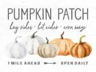 Pumpkin Patch Art Print