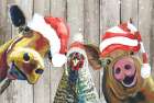 Barnyard Trio Art Print