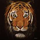 Shadow the Tiger Art Print