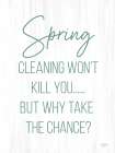 Spring Cleaning Art Print