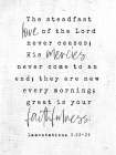 Steadfast Love Art Print