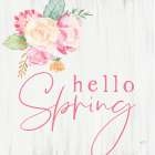 Hello Spring Art Print